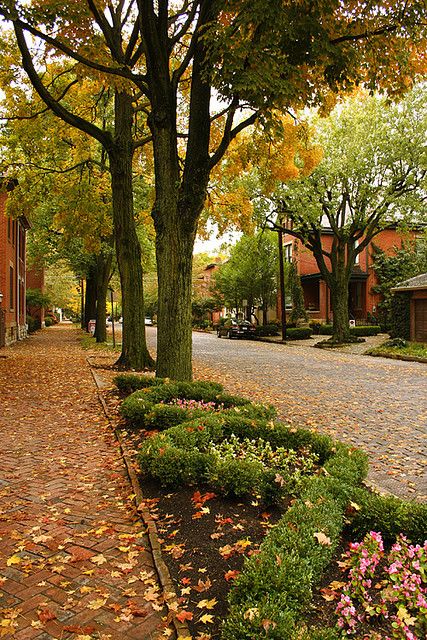 #CRP394  Like all streets in German Village, they are 'meticulously maintained front yards, front tree-lined streets with brick sidewalks and cultivated village planters." Tree Lined Street Aesthetic, Street Landscape Design, Outside Fall Decorations Front Yards, Street With Trees, Outside Fall Decorations, Brick Street, Tree Lined Street, Brick Sidewalk, Street Landscape