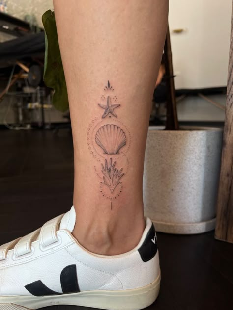 Seashell Mandala Tattoo, Starfish And Shell Tattoo, Coral Reef Tattoo Ideas, Reef Tattoo Design, Small Coral Tattoo, Seashell Back Tattoo, Corals Tattoos, Mini Starfish Tattoo, Costal Tattoos