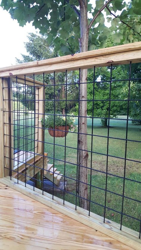 Cattle Panel Fence Diy Deck Railings, Deck Railings That Dont Block View, Hog Wire Fence Ideas, Hog Wire Deck Railing, Cattle Panel Fence, Wire Deck Railing, Decks Ideas, Hog Wire Fence, Cattle Panels