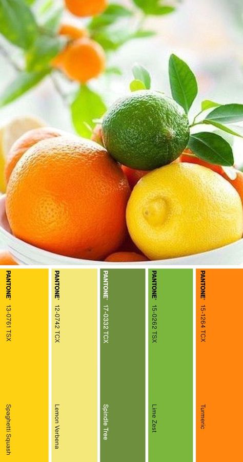 Color Palette Pantone, Pantone Color Palette, Yellow Color Combinations, Citrus Wedding, Pantone Colour Palettes, Color Combinations For Clothes, Lemon Verbena, Orange Fruit, Color Stories