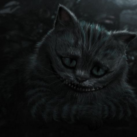 Alice In Wonderland Dark Aesthetic, Dark Alice In Wonderland Aesthetic, Cheshire Cat Aesthetic, Cheshire Aesthetic, Heartless Aesthetic, Heartless Marissa Meyer, Dark Alice In Wonderland, Tim Burton Characters, Alice In Wonderland Aesthetic