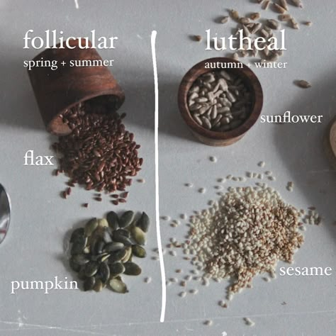 Seed cycling made simple 🌱🌾🎃🌻 Seed cycling is a simple way to support your body during the cycle. So small, yet so full of nutrition. 1 tablespoon of each every day, can easily be incorporated in smoothies, soup, grounded, on oatmeal’s, on a piece of bread with hummus, baked on or in buns and bread etc. Want me to make a post on different ways to make it a part of your daily meals? Also please share yours, so we can learn from each other 🤗 #cycleseeding #seedcycling #cyclesyncing #foodc... Seed Cycle, Manifestation 2025, Hormones Balance, Seed Cycling, Cycle Syncing, Piece Of Bread, Natural Care, Daily Meals, Mind Body Soul