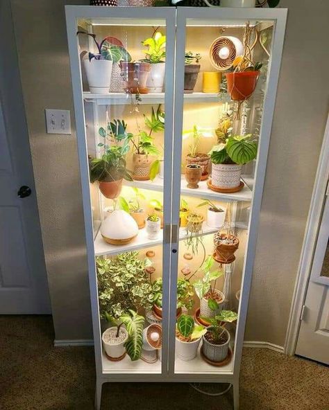 Plant Cabinet, 2023 Home Interior, Plantarea Legumelor, Ikea Plants, Ikea Cabinet, Indoor Greenhouse, Plants Decor, Ikea Cabinets, Plant Decor Indoor