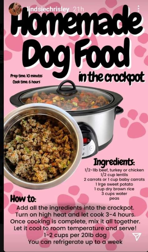 Slow Cooker Dog Food Recipes Crockpot, Dog Food Bowl Ideas, Breakfast Ideas For Dogs, Dog Meatloaf Recipe, Dog Food Recipes Crockpot, Cook Dog Food, Pet Treats Recipes, Easy Dog Treat Recipes, Diy Dog Food