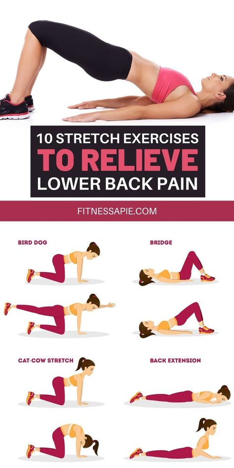 Stretching and other light exercises can reduce the agony in your lower back. Taking the time to incorporate a few stretch exercises into your daily routine should make a big difference in the way you feel. In this article, we are going to look at 10 amazing stretching exercises that will help you relieve lower back pain #stretching #exercises #backpain #lowerback Lower Back Pain Stretches, Low Back Stretches, Back Stretches For Pain, Lower Back Pain Exercises, Yoga Kurse, Yoga Online, Yoga For Back Pain, Lower Back Pain Relief, Light Exercise