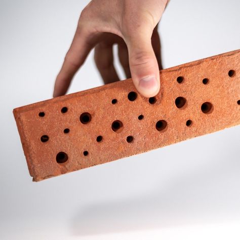 FabSpeed’s Bee Brick from the Bricology range is designed for the nesting of solitary bees, reducing the risk of predation and protecting larvae. These products are constructed from clay-facing bricks and feature various diameter aperture access holes. Bee Brick, Bat Box, Hoverfly, Brick Face, Bat Species, Solitary Bees, House Sparrow, Small Animals, Built Environment