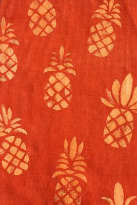 Pineapple Pool Party, Pineapple Princess, Hair Tomboy, Diy Pineapple, Pineapple Theme, Freezer Paper Stenciling, Pineapple Fabric, Palm Tree Art, Textile Print