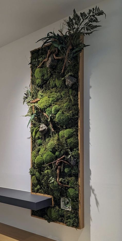 Moss artist:  Ronnie Khoo.  Photo:  Ohsum Mossum. Moss Garden, Moss Wall, Carnivorous Plants, Terrarium, Yard, Plants, Flowers, Wall, Quick Saves