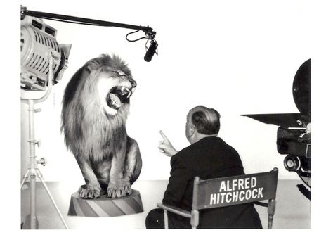 Alfred Hitchcock directing the MGM Lion, 1958. Photograph by Clarence Sinclair Bull Mgm Lion, Michelangelo Antonioni, John Russell, Pier Paolo Pasolini, Metro Goldwyn Mayer, Roaring Lion, I Love Cinema, Richard Gere, Sean Connery