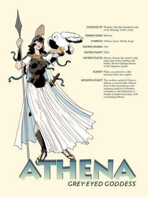 Athena the Grey-Eyed Goddess Battle Strategy, Athena Greek Goddess, Daughter Of Athena, Blue Eagle, Greek Mythology Gods, Goddess Athena, Roman Gods, Greek Gods And Goddesses, Greek And Roman Mythology