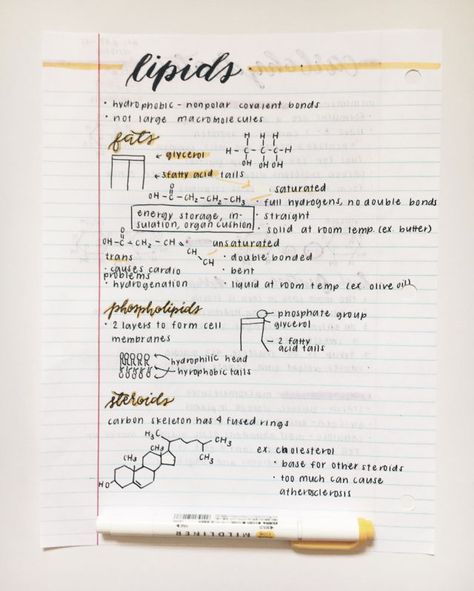 ⓑⓑⓨⓟⓔⓐⓒⓗⓨ✨ A Level Biology Lipids, Lipids Notes Biology, Lipids Notes, Lipids Biochemistry Notes, Ap Biology Notes, Biochemistry Notes, Biology Revision, Study Biology, Biology Classroom