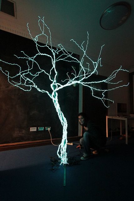 El-wire tree by - Hob -, via Flickr Electroluminescent Wire, El Wire, Wire Trees, Fibre Optics, Tree Sculpture, Light Installation, Tree Lighting, Low Energy, Wire Art