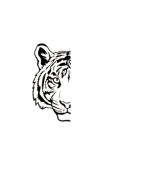 Small Tiger Tattoo For Women Simple, Tiger Outline Drawing, Tiger Tattoo Outline, Tiger Head Tattoo Design, Tiger Outline Tattoo, Tiger Line Tattoo, Small Tattoo Outlines, Tiger Tattoo Forearm, Line Work Tiger Tattoo