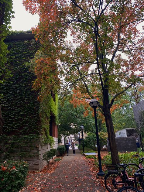 Umich Campus Aesthetic, Umich Campus, Michigan Fall, U Michigan Aesthetic, U Of M University Of Michigan, Michigan University Aesthetic, Michigan University, University Of Michigan Aesthetic, Umich Aesthetic