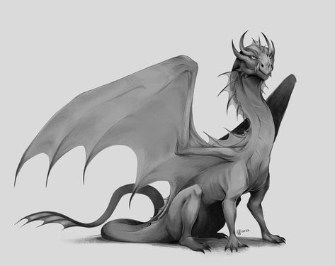 ArtStation - Sitting grayscale dragon Sitting Dragon, Dragon Poses, Dragon Anatomy, Dragon Sketch, Fantasy Stuff, Water Drawing, Drawing Drawing, Dragon Rider, Dragon Artwork