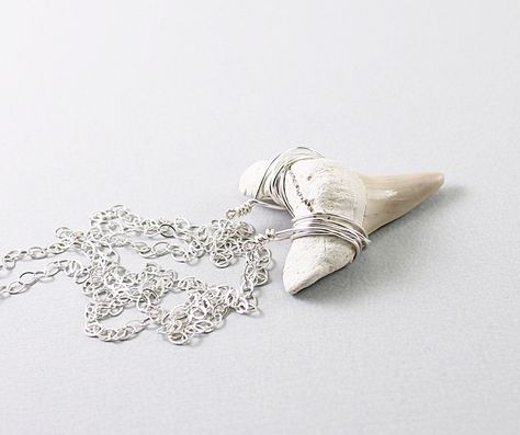 sharktooth jewelry | Shark tooth necklace: fossil jewelry #fashion #shark #tooth #teeth # ... Shark Tooth Necklace, Jewelry Real, Fossil Jewelry, Tooth Necklace, Shark Tooth, Wire Necklace, Shark Teeth, Wrapped Jewelry, Jewelry Silver