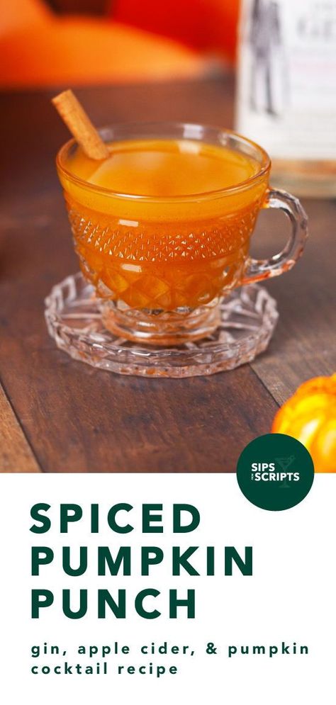 Pumpkin Punch, Autumn Cocktail, Healthy Cocktail Recipes, Batch Cocktail Recipe, Creative Drinks, Publix Recipes, Craft Cocktail Recipe, Punch Cocktails, Cocktail Party Food