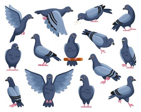 Pigeon of peace cartoon illustration | Premium Vector #Freepik #vector #cartoon #bird #animal #feather Pigeon Illustration Drawings, Pigeon Character Design, Pigeons Illustration, Pigeon Character, Peace Cartoon, Anime Bird, Pigeon Drawing, Pigeon Illustration, Feral Pigeon