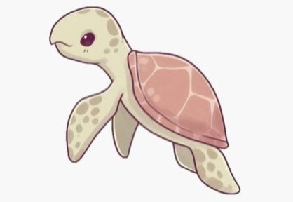 Cute Sea Turtle Drawing, Cartoon Sea Turtle, Cute Turtle Drawings, Cute Turtle Cartoon, Sea Turtle Drawing, Turtle Cartoon, Cute Sea Turtle, Drawing Kawaii, Turtle Drawing