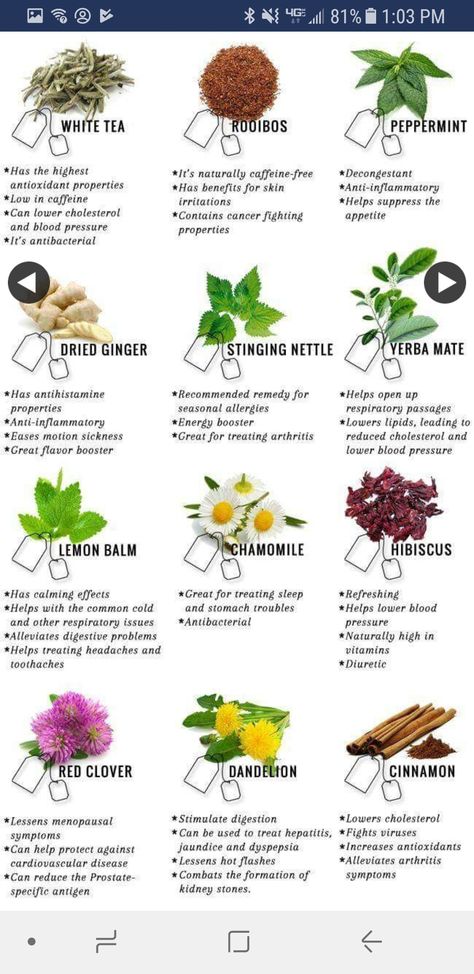 Herbs And Their Uses, Tea Remedies, Types Of Herbs, Tea Health Benefits, Resep Diet, Tea Benefits, Herbal Teas, Detox Smoothie, Detox Tea