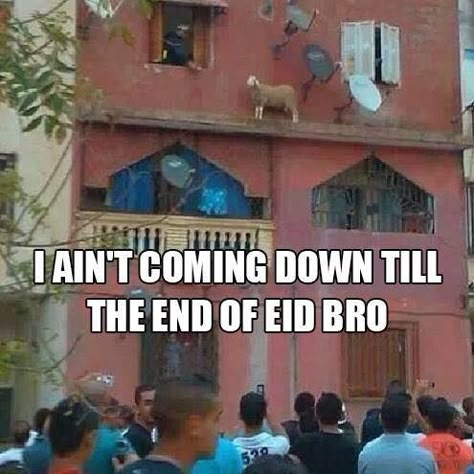 Muslim sheep Islam Meme, Eid Jokes, Muslim Meme, Arabic Memes, A Group Of People, Arabic Jokes, Funny Images Laughter, Funny Joke Quote, Group Of People