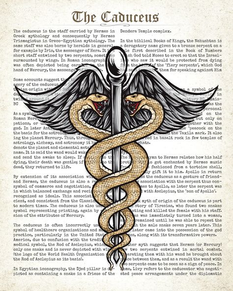 Caduceus Watercolor Art Hospital Decor Medical Office Waiting Room Poster Neurologist Gift Brain Surgeon Print Rod Of Asclepius Student https://etsy.me/3tdG2nc #caduceus #neurologistgift #brainsurgeon #medicalofficeart #caduceusart #hospitalart #psychologystudent #rodo Medical Student Room Decor, Waiting Room Poster, Medical Office Waiting Room, Poster Hospital, Caduceus Art, Doctor Poster, Hospital Decor, Rod Of Asclepius, Healthcare Art