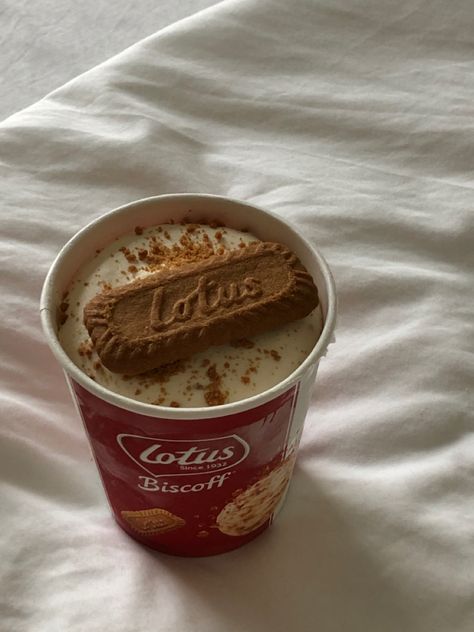 Biscoff Aesthetic, Ice Cream Instagram, Biscoff Ice Cream, Biscoff Cream, Ice Cream Aesthetic, Fruit Chip, Road Trip Food, Lotus Biscoff, Yummy Comfort Food