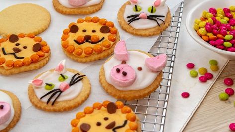 Animal Biscuits, Biscuit Recipes Uk, Arrowroot Biscuits, Biscuit Decorating, Biscuit Ideas, Biscuit Decoration, Orange Icing, Iced Biscuits, Easy Animals