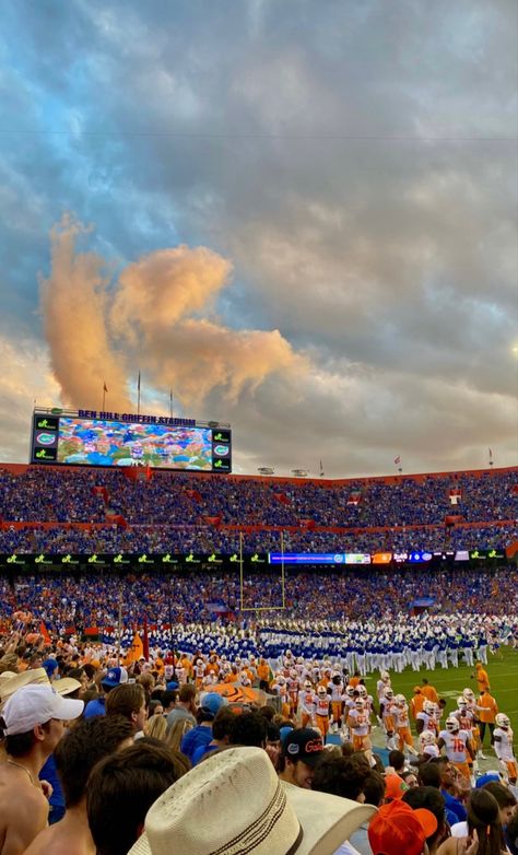 Football Game Aesthetic College, Uf College Aesthetic, Florida Gators Aesthetic, Gainesville Florida Aesthetic, Florida University Aesthetic, Miami College Aesthetic, College In Florida Aesthetic, College In Florida, Florida College Aesthetic