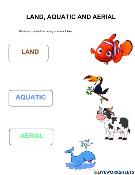 Aerial Animals, English As A Second Language (esl), Second Language, English As A Second Language, Activity Sheets, Animals