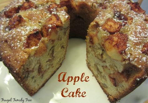 Apple Cake that I made from Smitten Kitchen Cookbook recipe. Fabulous tasting!! Smitten Kitchen Apple Cake, Smitten Kitchen Cake, Easy Apple Cake, French Apple Cake, Apple Bundt Cake, Apple Cake Recipe, Fresh Apple Cake, Cake Rack, Roasted Apples