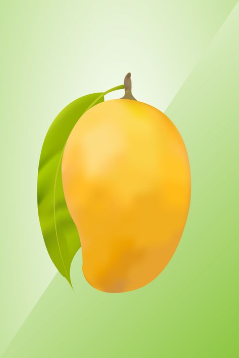 Hey guys check the awesome vector Design. This is very simple Mango design. Did you need this design? let me know in the comments section below Design by https://www.behance.net/tajbiriban #vectorart #vectorIllustration #vectordesign  #Vectorgraphics #vectorartist #vector #vectorartwork #vectors #vectordrawing #vectormurah #vectorportrait #vectorface #vectorimage #vectorstick #vectoricon #vectorworks #vectorarts #vectorillustrator #Vectorize #vectorpainting #mango #mangovector #yellowmango Mango Wallpaper, Mango Vector, Yellow Mango, Mango Yellow, Fresh Image, Lion Tattoo, Graphics Designer, Beauty Store, Editorial Illustration