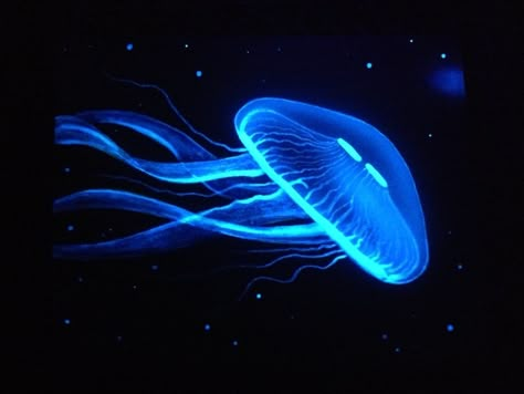 Paint A Glow In The Dark Jellyfish (Step By Step Guide With Pictures!)