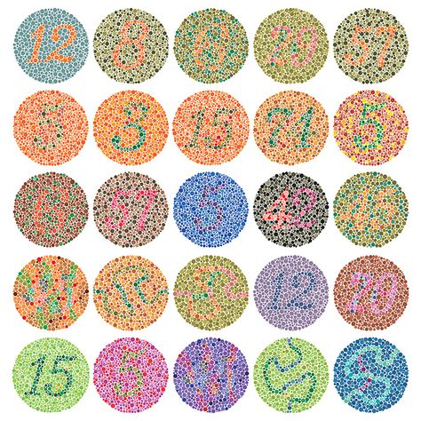 Colour Blind Test, Colorblind Test, Color Blind Test, Color Vision Deficiency, Science Experience, Colour Blind, Blind Test, Test Image, Military Color