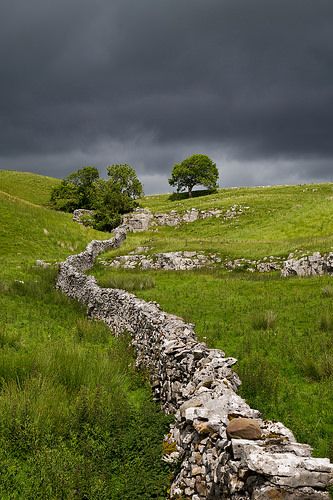 Yorkshire Moors Photography, Yorkshire Moors, 강아지 그림, British Countryside, Yorkshire Dales, Storm Clouds, Isle Of Skye, English Countryside, Yorkshire England