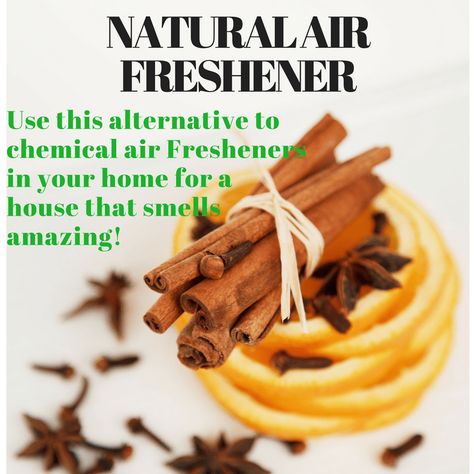 Natural Air Freshener Natural Air Freshener Diy, Diy Air Freshner, Candles In A Jar, Simmer Pot Recipes, Diy Cinnamon, Simmer Pot, Diy Air Freshener, House Smell Good, Home Air Fresheners