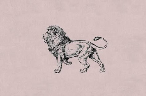 Vintage Lion Illustration, Be Brave Tattoo, Lion Illustration, Lion Drawing, Art Harry Potter, Handpoke Tattoo, Tattoo Inspiration Men, Tattoo Style Drawings, Small Tattoos For Guys