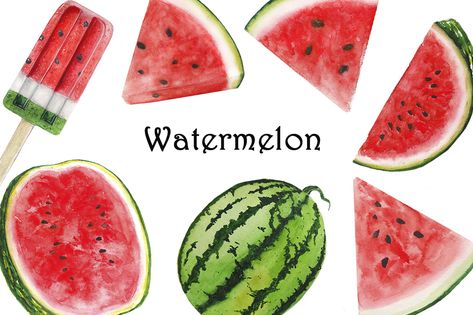 Watermelon Drawing, Watermelon Watercolor, Watermelon Clipart, Watermelon Illustration, Watercolor Watermelon, Fruit Watermelon, Fruit Clipart, Watermelon Art, Tropical Illustration