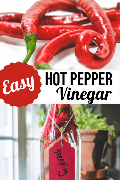 Hot Chili Pepper Vinegar Hot Pepper Vinegar How To Make, Hot Pepper Vinegar, Pesto Alfredo, Pepper Vinegar, Cilantro Garlic Sauce, Barbecue Rub, Asparagus Side, Beans And Greens, Flexitarian Recipes