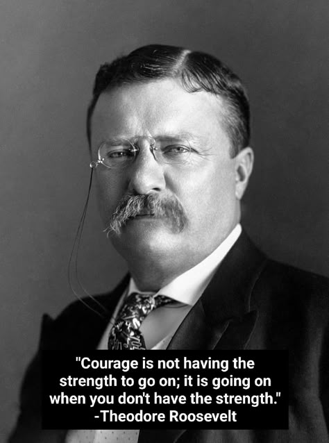 Theodore Roosevelt Patriot Quotes, Teddy Quotes, Crypto Quotes, Warrior Mentality, Teddy Roosevelt Quotes, Conservative Quotes, Theodore Roosevelt Quotes, Roosevelt Quotes, Teddy Roosevelt