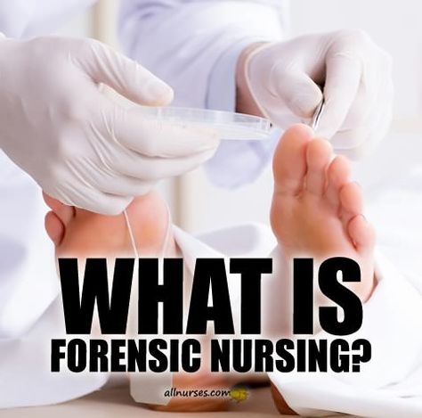 👩‍⚕️ Forensic Nurse is an all-important individual who can help those who have been neglected, abused, sexually assaulted as well as many other types of violent crimes. LEARN MORE Forensic Nursing, Forensic Nurse, Nurse Rock, Nursing Jobs, Forensic, Registered Nurse, Nurse Life, Law Enforcement, Nursing