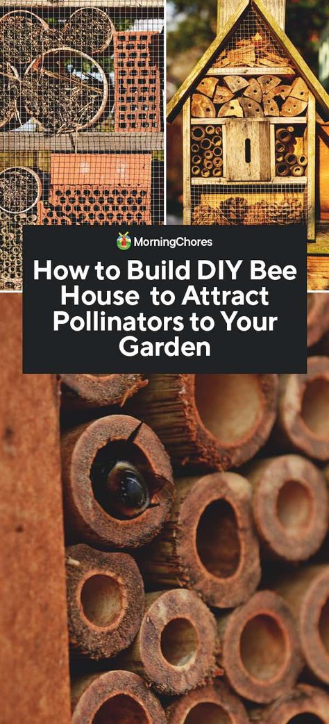 Diy Bee House, Diy Bee, Mason Bee House, Bee Houses, Wood Bees, Bee Hotel, Solitary Bees, Mason Bees, Carpenter Bee