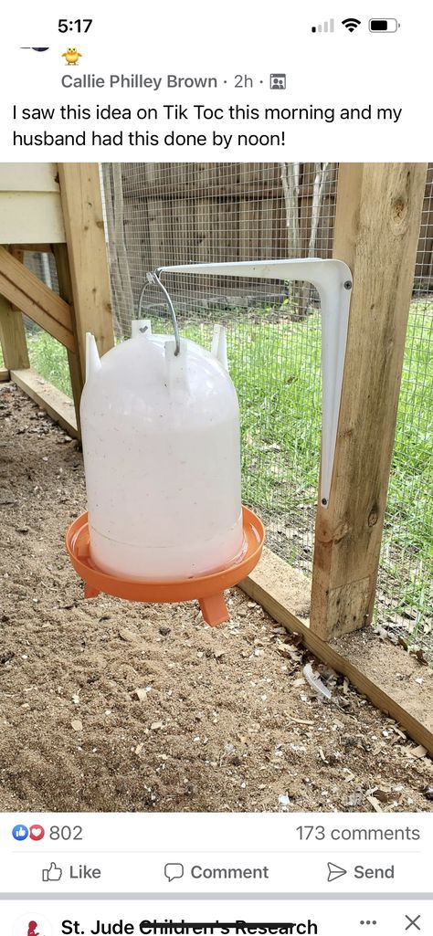 Hang Chicken Water, Chicken Coop Food And Water Ideas, Backyard Animals, Cute Chicken Coops, Chicken Coop Garden, Chicken Coup, Chicken Pen, Backyard Chicken Coop Plans, Diy Chicken Coop Plans