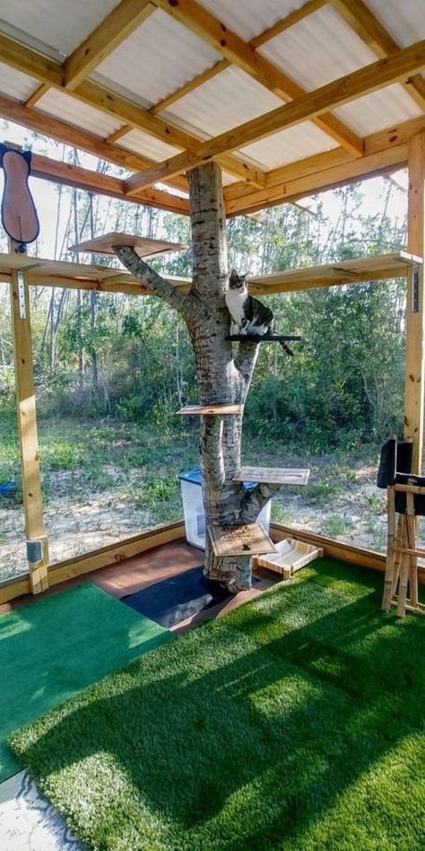 30+ DIY Catio Ideas That Are Totally Pawsome | HubPages Cat Outside Enclosure, Cattery Ideas, Outdoor Cat Tree, Cat House Outdoor, Outside Cat Enclosure, Catio Plans, Catio Ideas, Diy Cat Enclosure, Ideas For Cats