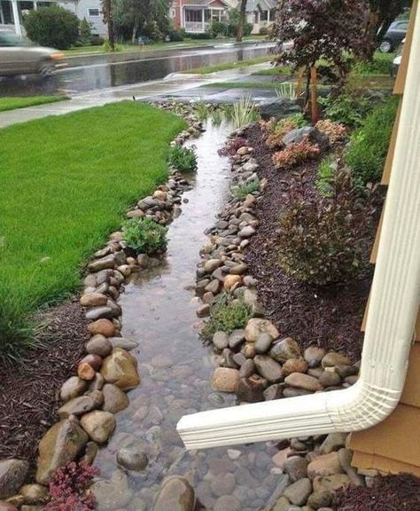 Dry-Creek-Bed-Drainage-Example Rock Garden Design, Rock Garden Landscaping, Landscape Designs, Dry Creek, Rain Garden, Garden Yard Ideas, Bougainvillea, Small Backyard Landscaping, Diy Backyard