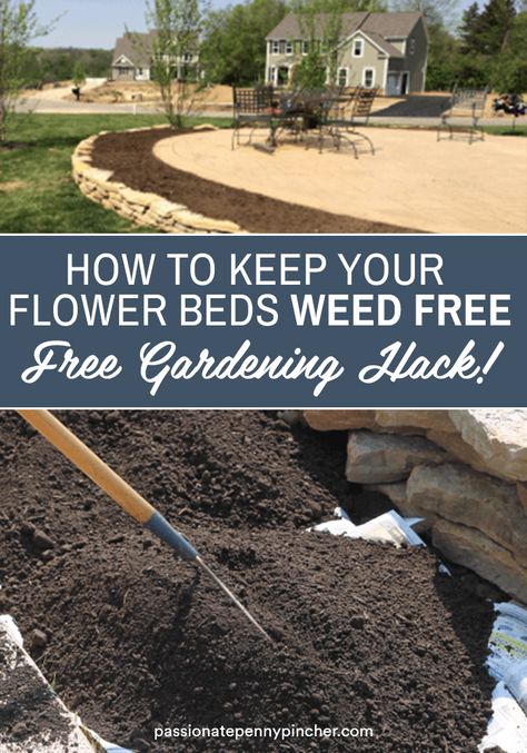 Are you getting Spring fever and ready to mulching your flower beds? Here's an easy trick for how to keep weeds out of flower beds and it likely won't cost you a penny. Before mulching, go ahead and remove weeds that are in your flowerbed by weeding by hand. Then you'll want to lay down leftover newspaper over any open space areas where you want to keep your flower beds weed free. Raising Flower Beds, Backyard Flowerbed Ideas, Home Flower Beds Front Yards, Flower Beds By Driveway, Border Flower Bed Ideas, How To Keep Weeds Out Of Landscaping, Simple Flower Beds In Front Of House Easy Diy, Flower Bed In Middle Of Yard, Flower Bed Makeover On A Budget