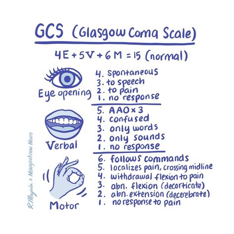 NowYouKnowNeuro | 🧠 Glasgow Coma Scale: Master the Basics The GCS is a widely used scoring system to assess the level of consciousness in patients with... | Instagram Glasgow Coma Scale (gcs), Glasgow Scale, Glasgow Coma Scale, Level Of Consciousness, Medical Assistant Student, Paramedic School, Nursing School Essential, Medical School Life, Nursing School Motivation