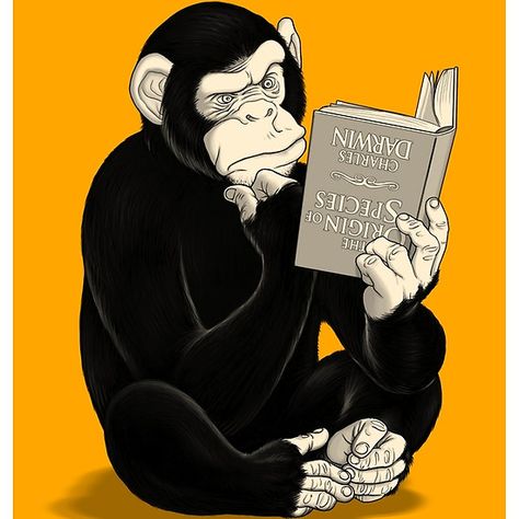 An inquisitive chimp reading ’The Origin of Species" by Charles Darwin.  #chimp #chimpanzee #monkey #redbubble #funny #evolution #charlesdarwin #darwin Colours That Go Together, Origin Of Species, Whimsical Art Paintings, Monkey Art, Charles Darwin, Primates, Science Art, Art Challenge, Funny Tshirts