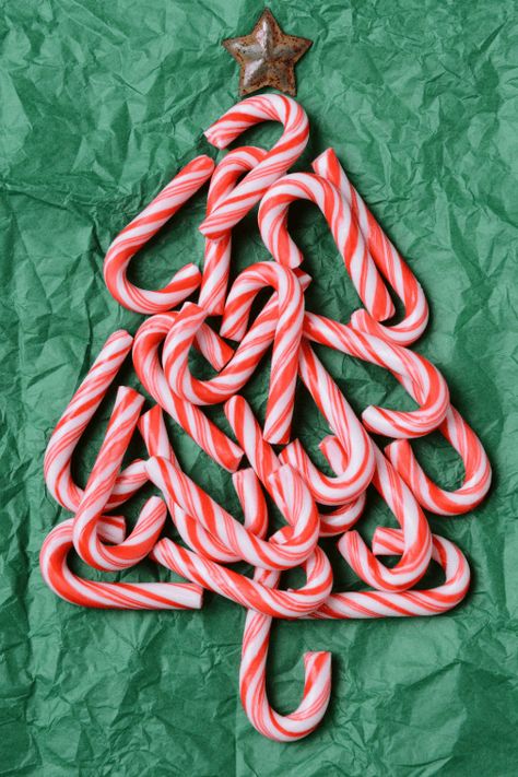 31 Beautiful Things to Make With Candy Canes - Earning and Saving with Sarah Christmas Candy Crafts, Candy Cane Recipe, Candy Cane Gifts, Candy Decor, Candy Cane Crafts, Mini Candy Canes, Candy Cane Cookies, Candy Cane Christmas Tree, Candy Cane Christmas