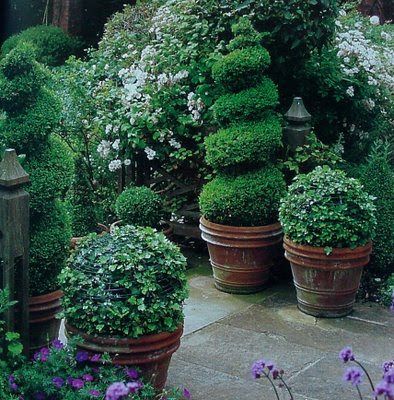 Topiary Garden, Rustic Planters, Cottage Garden Design, Have Inspiration, Garden Containers, Formal Gardens, Gorgeous Gardens, Garden Spaces, Container Plants